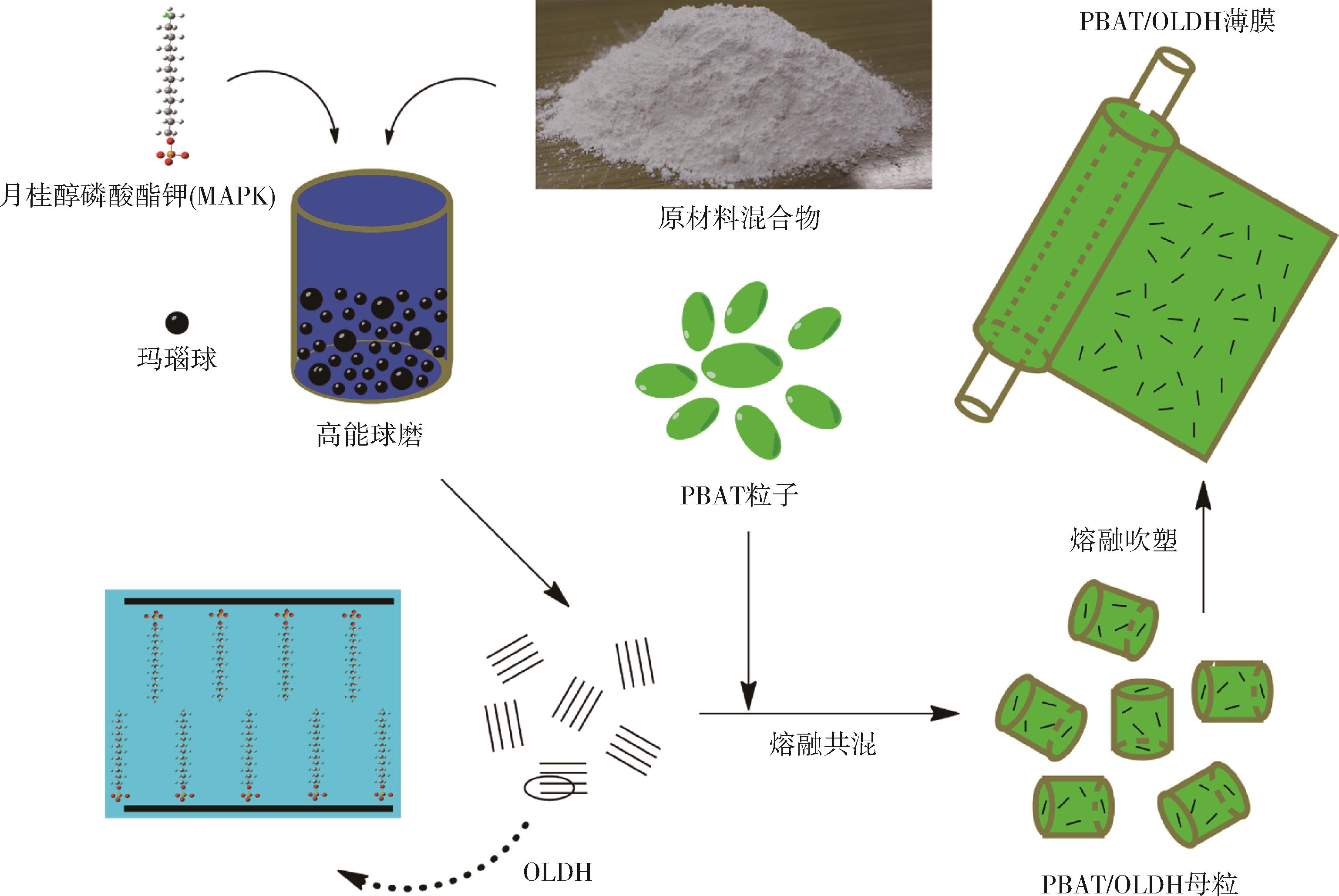 PLA/PBAT复合膜在食品包装中的应用前景_曼塔瑞咨询_企业对标咨询 - 曼塔瑞MantaRay